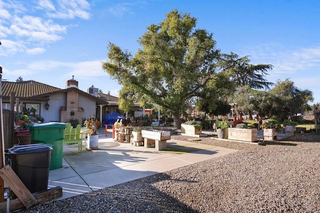 view of yard with a patio area