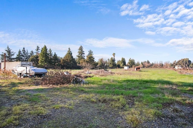 view of yard with a rural view