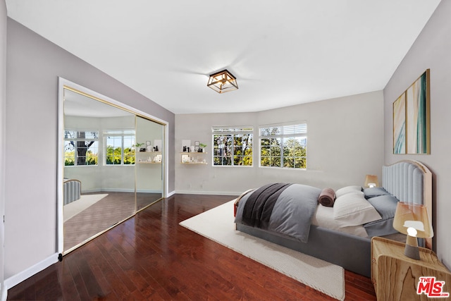 bedroom with hardwood / wood-style floors and a closet