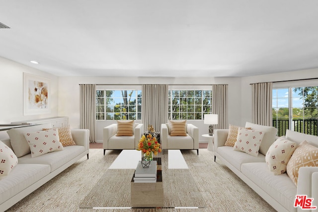 living room with plenty of natural light