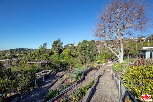 view of community with a pergola