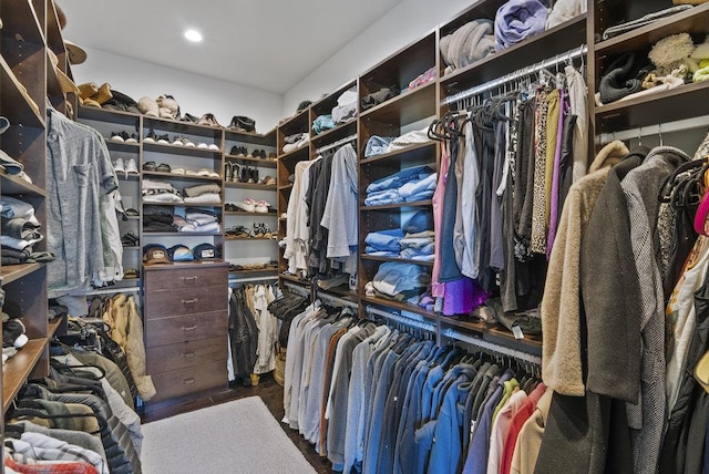 spacious closet with hardwood / wood-style flooring