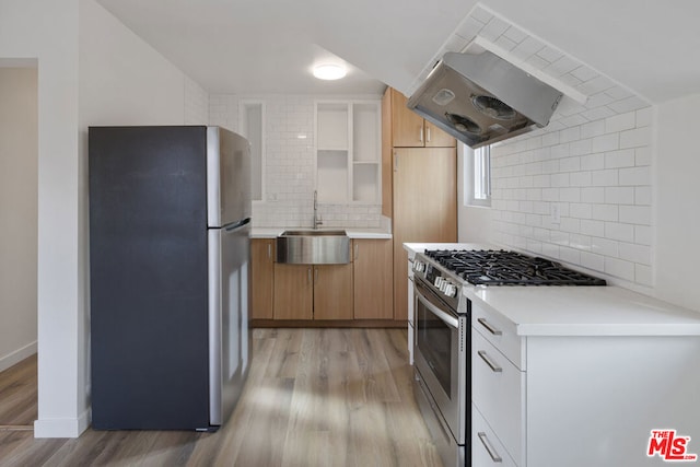 kitchen featuring ventilation hood, sink, light wood-type flooring, appliances with stainless steel finishes, and tasteful backsplash