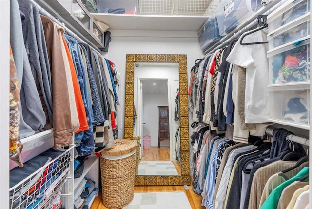 spacious closet featuring wood-type flooring