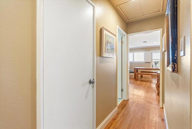 hall with light hardwood / wood-style flooring