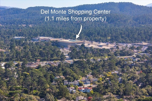 birds eye view of property with a mountain view