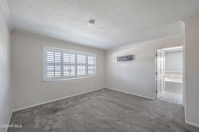 carpeted spare room featuring a textured ceiling and ornamental molding