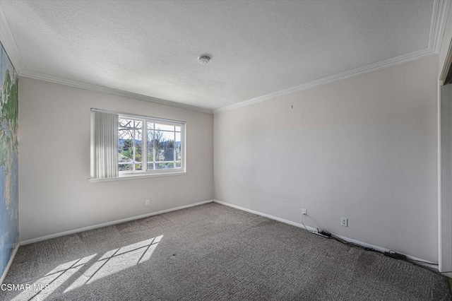 carpeted spare room with a textured ceiling and crown molding