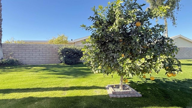 Listing photo 3 for 69411 Ramon Rd, Cathedral City CA 92234