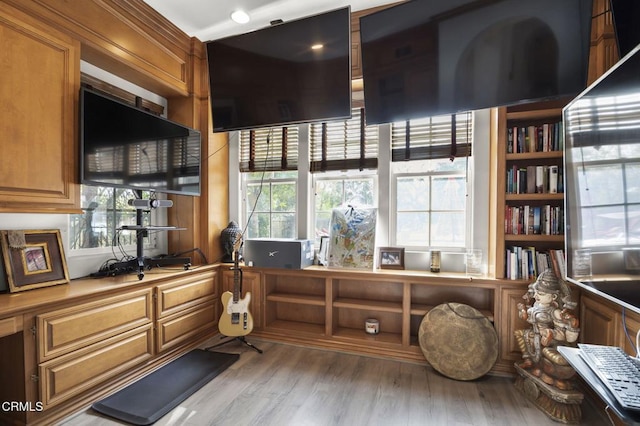 miscellaneous room with light wood-type flooring