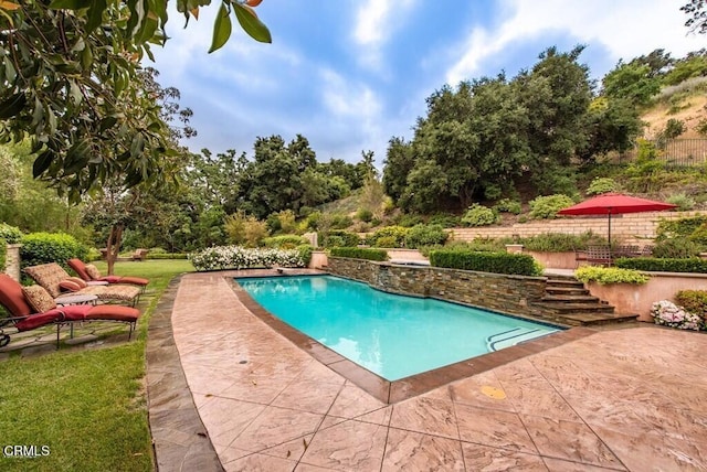 view of pool with a patio