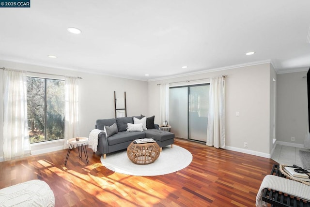 living room featuring wood-type flooring and crown molding