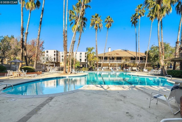 view of pool featuring a patio area