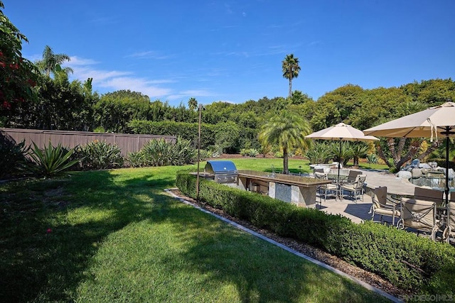 view of yard with an outdoor kitchen and a patio