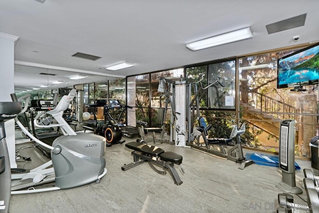 gym with floor to ceiling windows