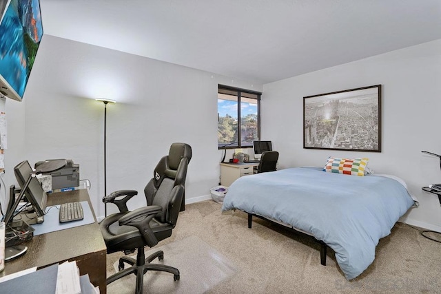 carpeted bedroom with floor to ceiling windows