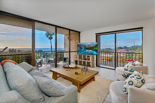 living room featuring light hardwood / wood-style flooring and a wall of windows