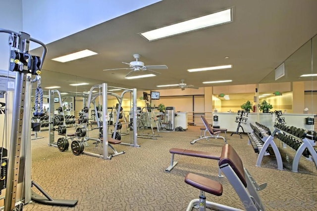 workout area with ceiling fan