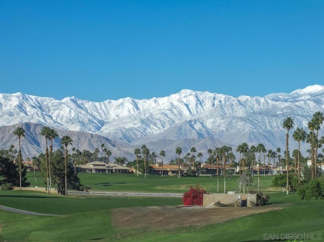 view of community featuring a mountain view and a lawn