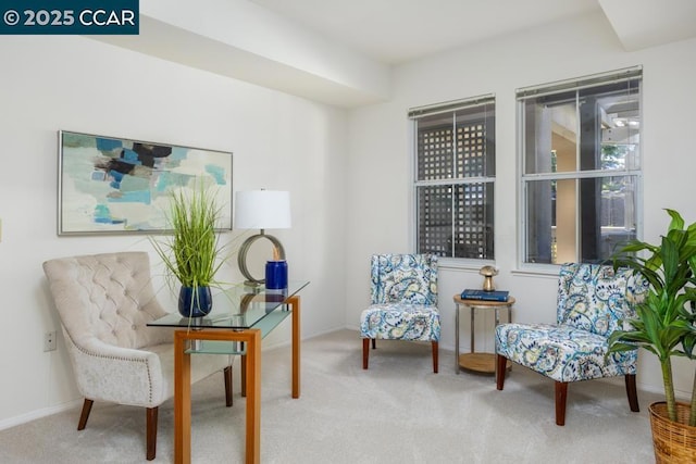 sitting room with carpet