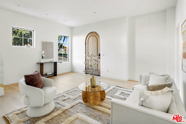 living room with light hardwood / wood-style floors