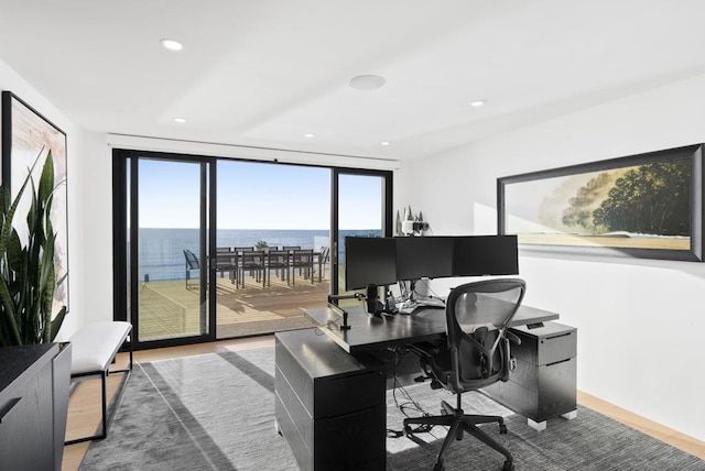 office space with hardwood / wood-style floors and expansive windows