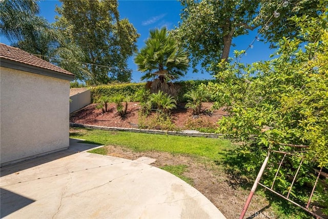 view of yard with a patio