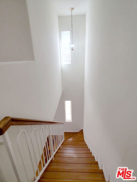 stairs with a chandelier and hardwood / wood-style flooring