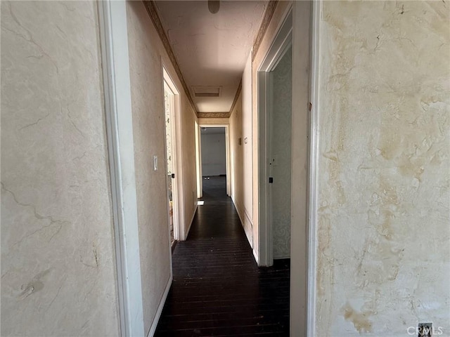 hall with dark wood-type flooring