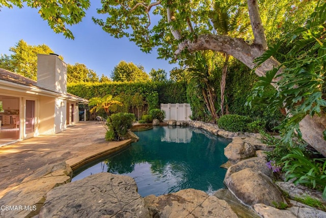 view of swimming pool featuring a patio area