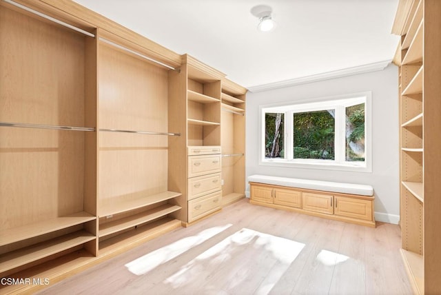 walk in closet with light wood-type flooring