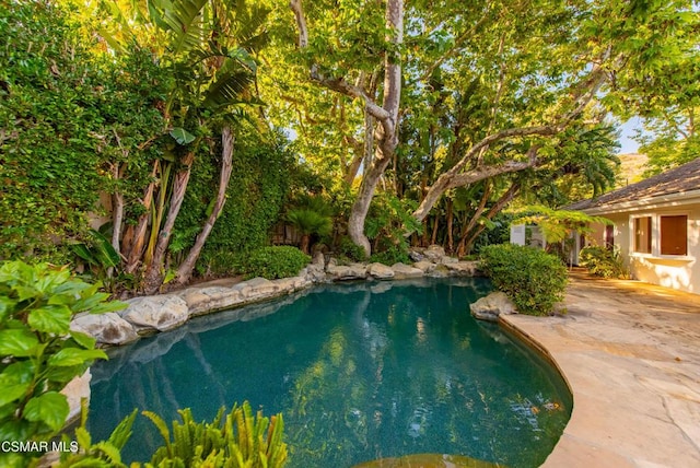 view of pool featuring a patio