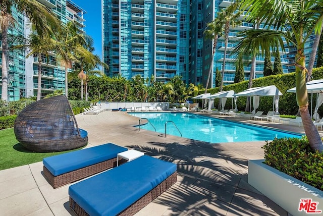 view of swimming pool featuring a patio area