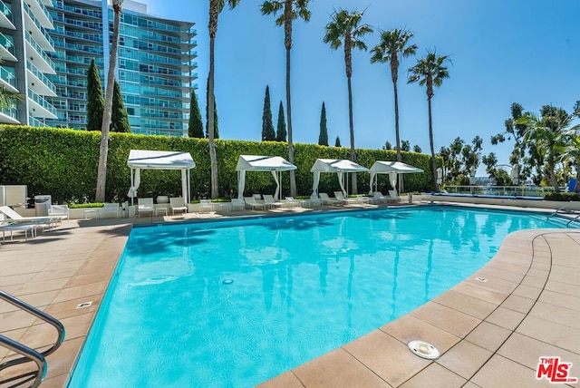 view of pool featuring a patio area