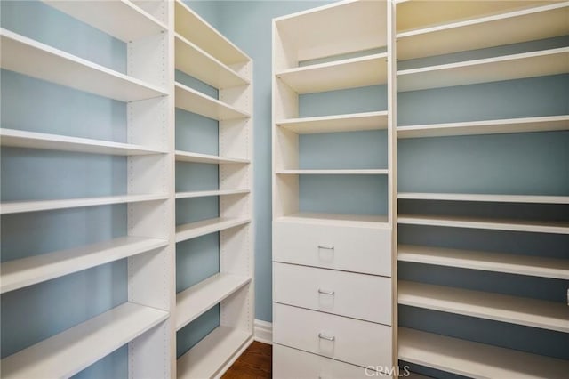 spacious closet featuring dark wood finished floors