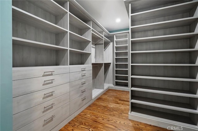 walk in closet featuring wood finished floors