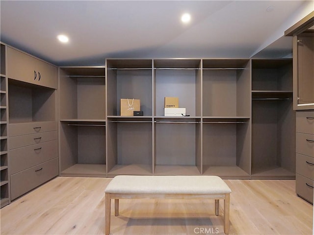 spacious closet with light wood-type flooring