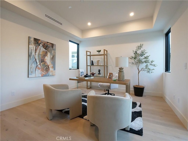 interior space featuring a healthy amount of sunlight, a tray ceiling, and light wood-type flooring