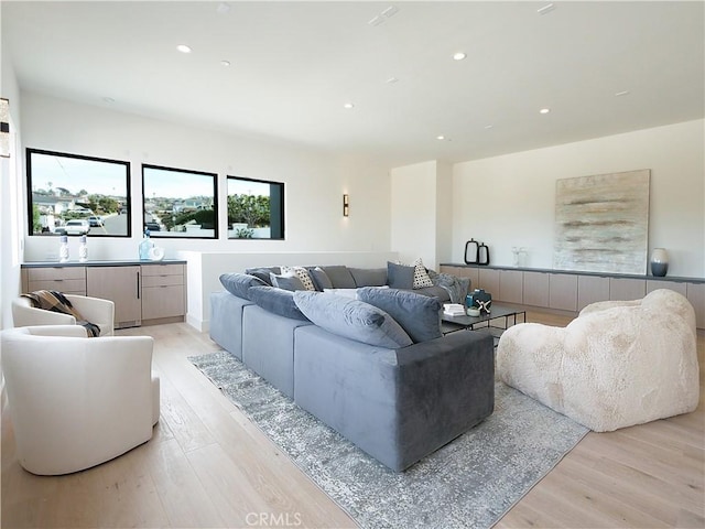 living room with light hardwood / wood-style floors