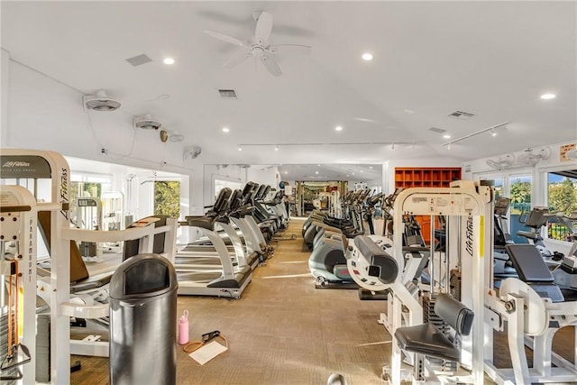 workout area with carpet floors, rail lighting, and ceiling fan