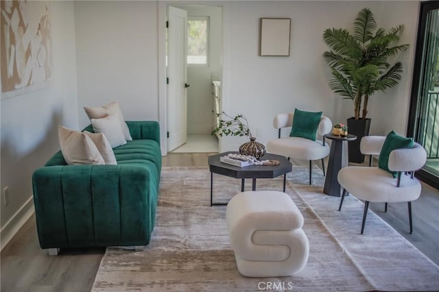 living room featuring light hardwood / wood-style flooring