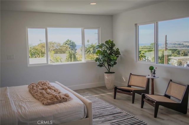 bedroom with multiple windows and light hardwood / wood-style floors