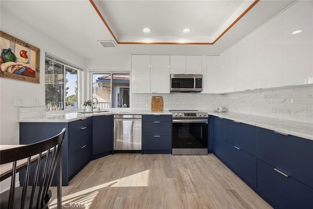 kitchen with white cabinetry, sink, a raised ceiling, light hardwood / wood-style floors, and appliances with stainless steel finishes