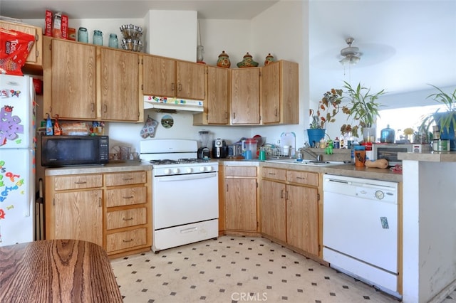 kitchen featuring white appliances, ceiling fan, and sink