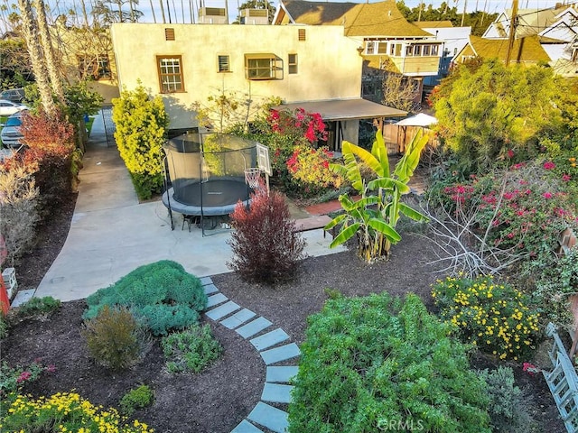 view of yard featuring a trampoline