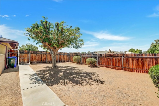 view of yard featuring a patio