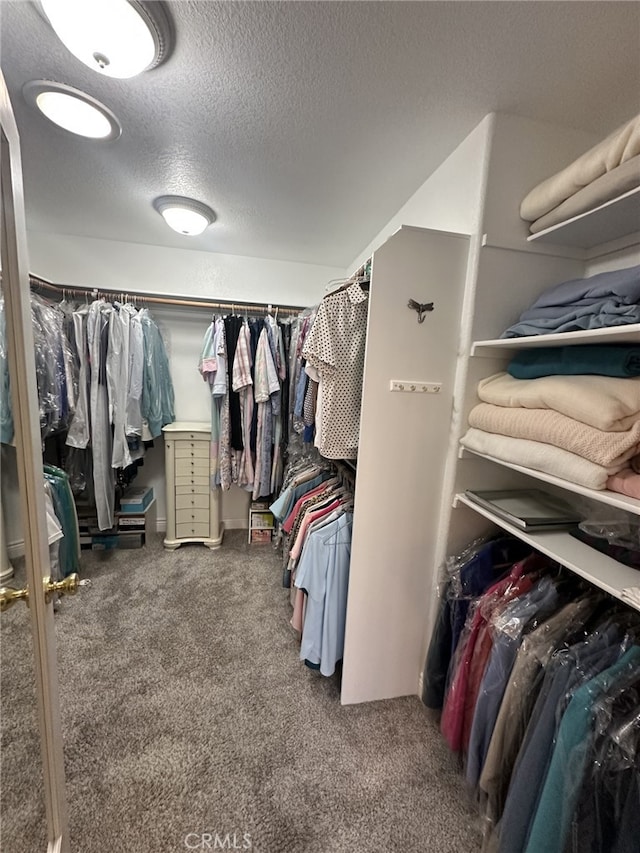 walk in closet with dark carpet