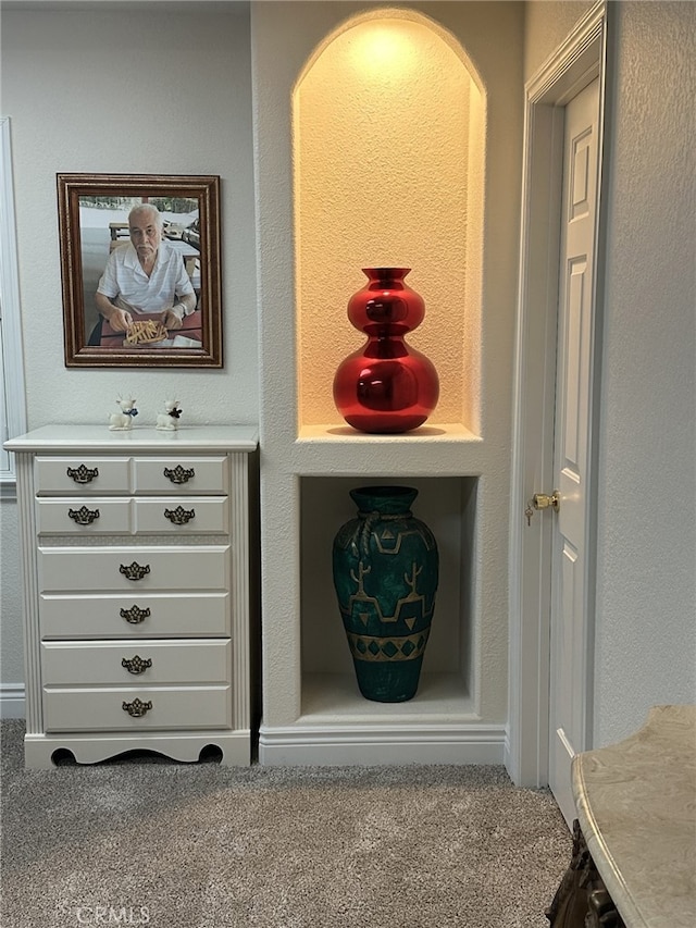 room details featuring carpet floors