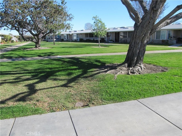 view of home's community with a yard