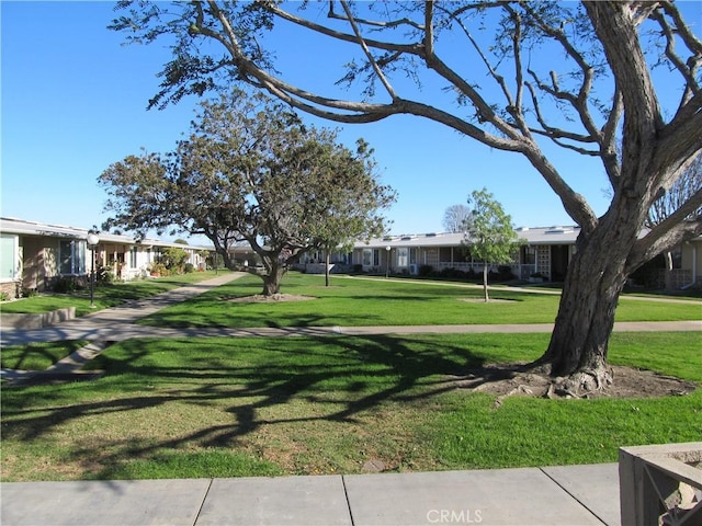 view of community with a yard